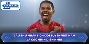 Cầu Thủ Nhập Tịch Đội Tuyển Việt Nam Và Góc Nhìn Toàn Diện 11 Cầu thủ nhập tịch đội tuyển Việt Nam